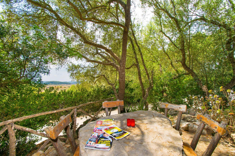 Others 3, G189 Putxet d'en Robi by Mallorca Villa Selection, Baleares