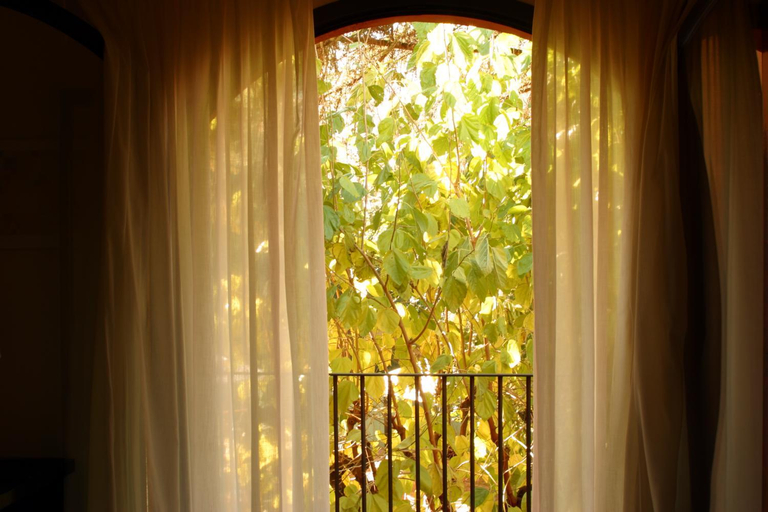 Others 5, Hotel Torres, Girona