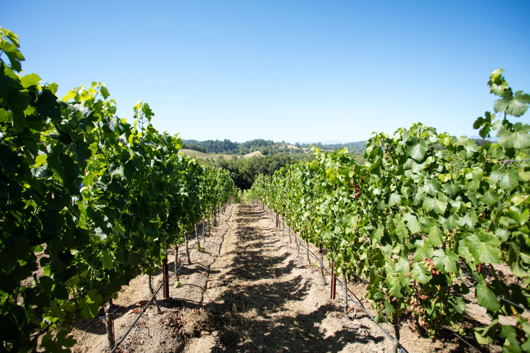 Farmhouse Inn, Sonoma
