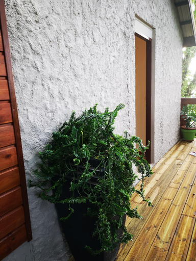 4, Bungalow Maelie, La Trinité