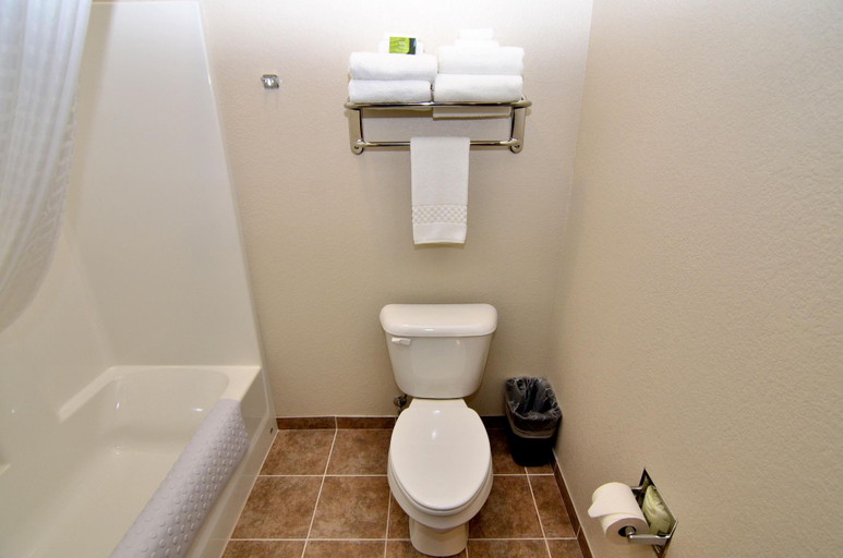 Bathroom 4, Cobblestone Inn & Suites - Manning, Carroll