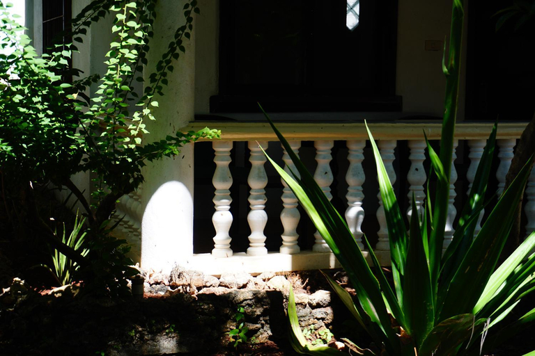 Others 4, Flower Garden Resort, Panglao