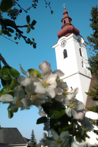 Hotel - Landgasthof Winklehner, Amstetten