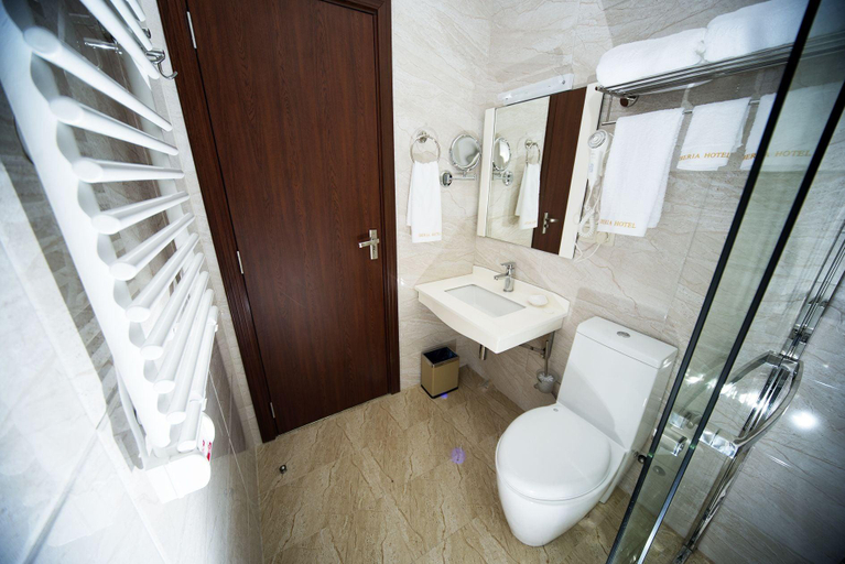 Bathroom 4, Iberia Didube, Tbilisi