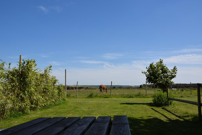 Surrounding environment