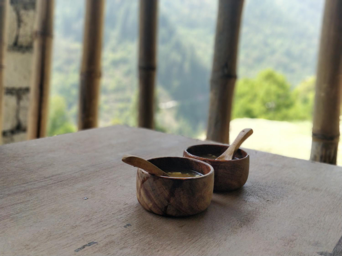 Others 5, Ara Camps, Kangra