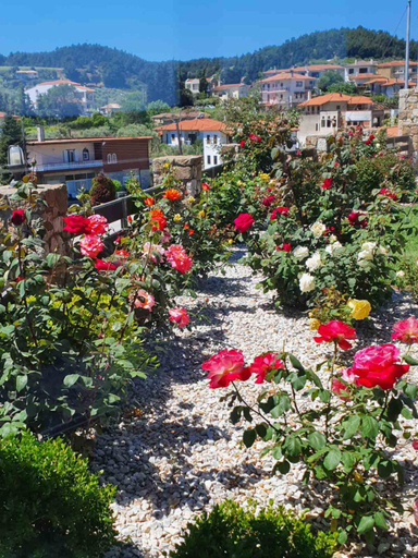 Garden 4, Elena Villas, Central Macedonia