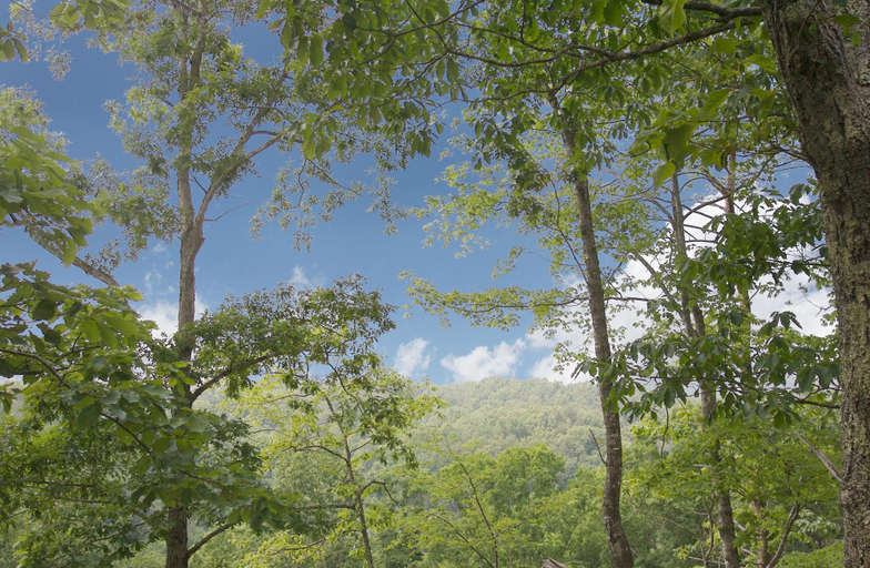 Exterior & Views 1, A Time to Remember - One Bedroom Cabin, Sevier