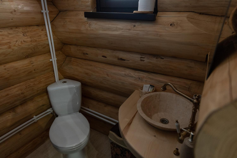 Bathroom 2, Pensiunea Lupul Dacic, Orastioara De Sus