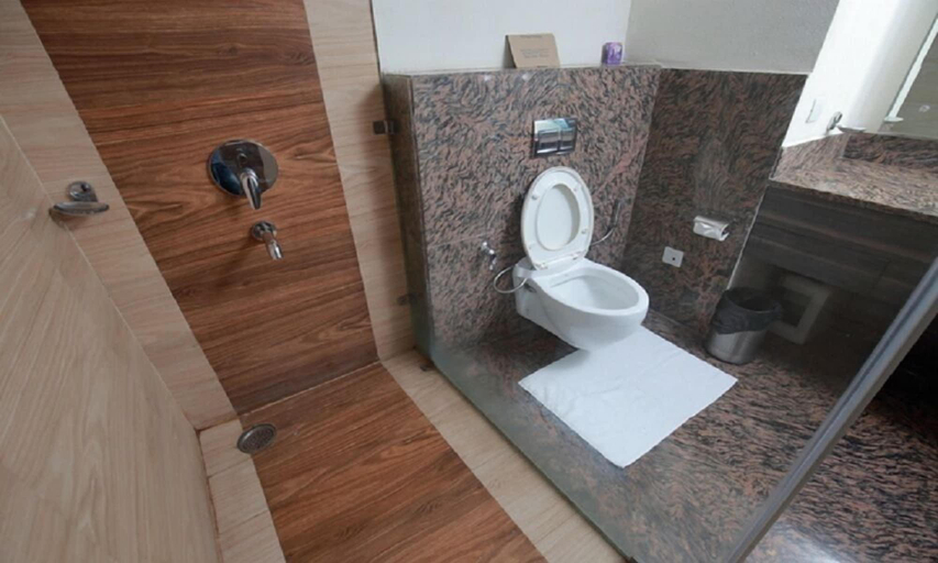 Bathroom 5, The Royal Paradise, Karnal