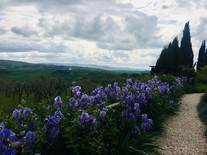 Exterior & Views 2, A440 in Tuscany, Siena