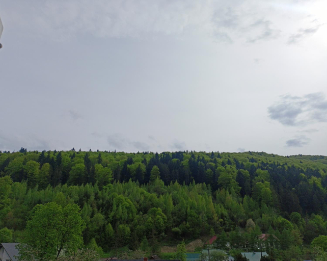 Others 3, Гостьовии двір, Nadvirnians'kyi