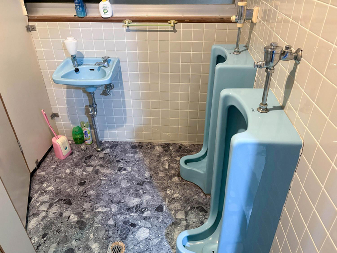 Bathroom 4, Eco Hotel Yunokosou, Minamata
