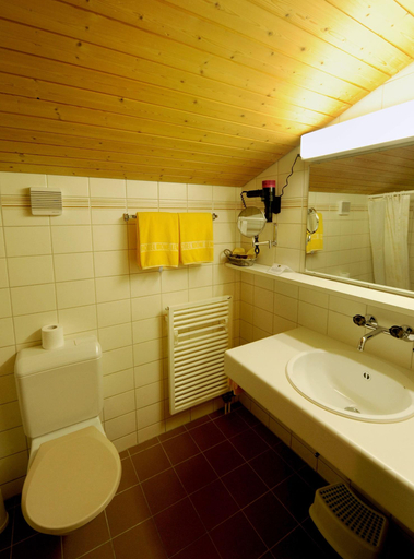 Bathroom 4, Hotel Krone, Obersimmental