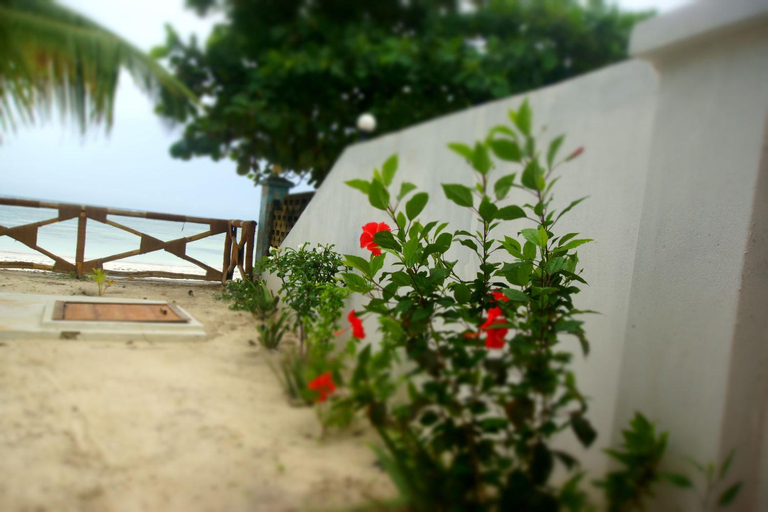 Surrounding environment