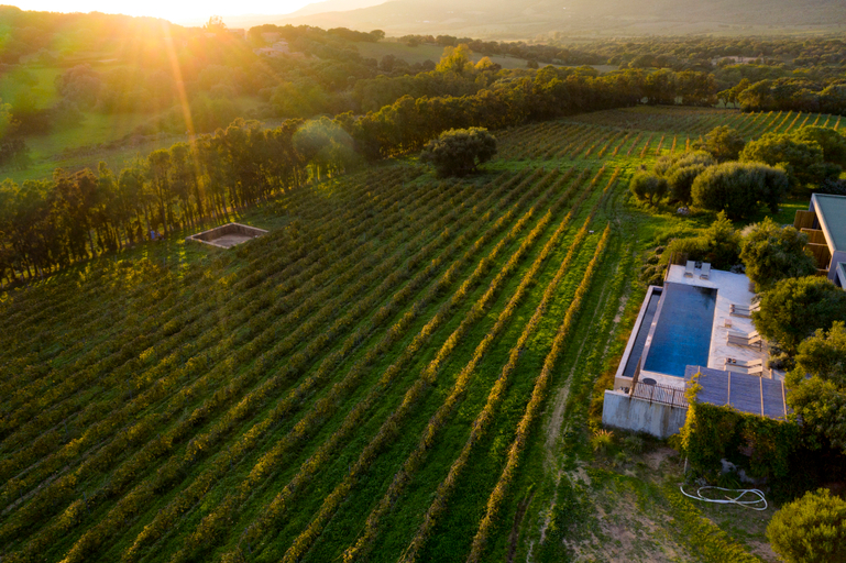 Exterior & Views 2, Domaine De Peretti Della Rocca, Corse-du-Sud