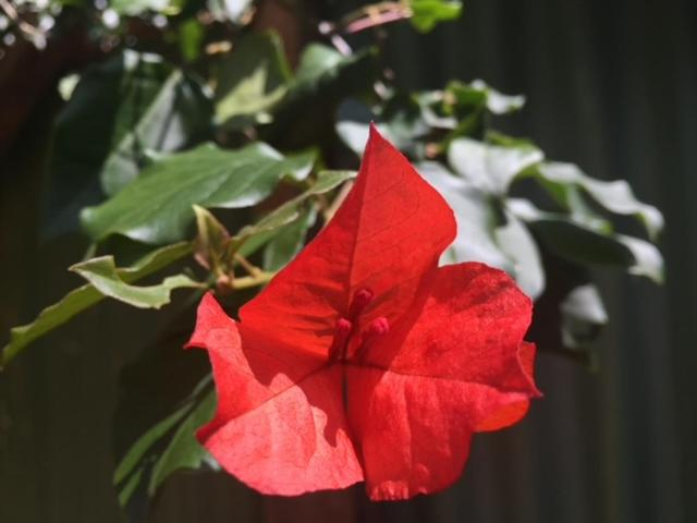 Others 2, Milemeleni Guesthouse, Lushoto