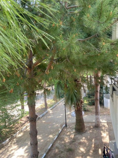 Public Area, Palm Club Apart Otel, Selçuk