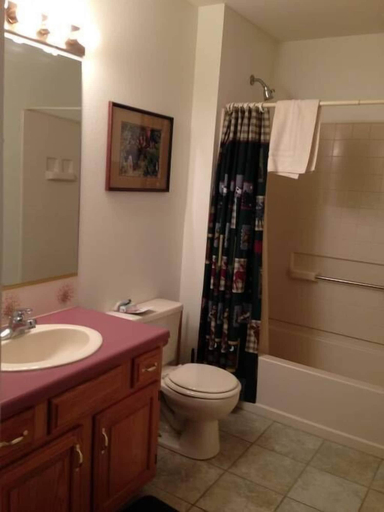 Bathroom 3, Columbine Cabins, Grand
