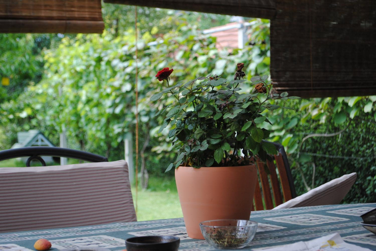 Food & Drinks, Apartments Bogdanovic, Maribor