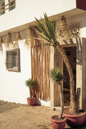 Exterior & Views 2, Wild surf morocco, Agadir-Ida ou Tanane