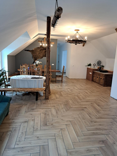 Others 3, Pensjonat u cioci Reni, Opole