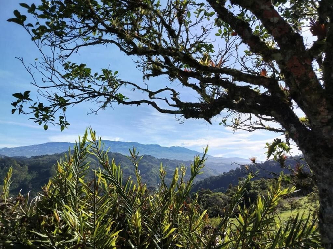 Others 4, Bhoga Forest Orosi, Cartago