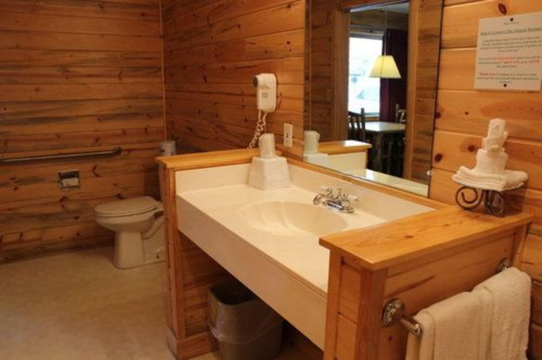 Bathroom, Georgetown Mountain Inn, Clear Creek