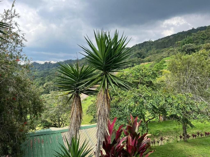 Others 5, Bhoga Forest Orosi, Cartago
