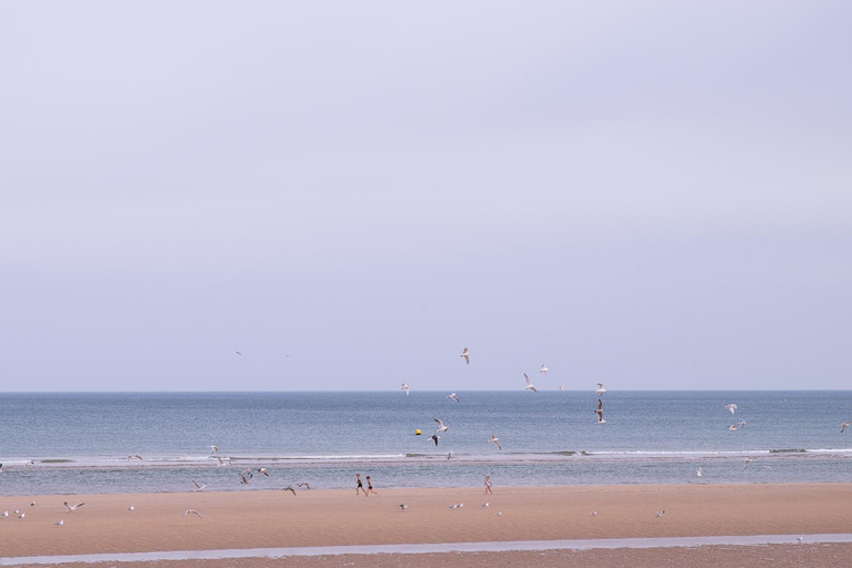 Scenery 18