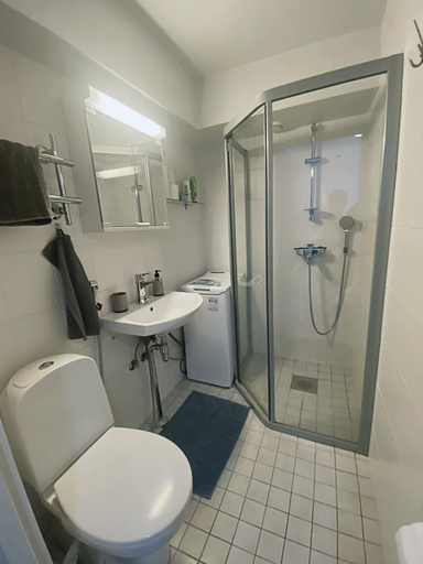 Others 5, Scandinavian Home 17 city Center Tyomiehenkatu 2B, Uusimaa