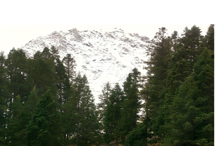 Others 3, Kheerganga Hike Camps, Kullu