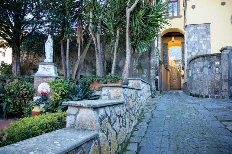 Others 5, Casa Barone con giardino, Napoli