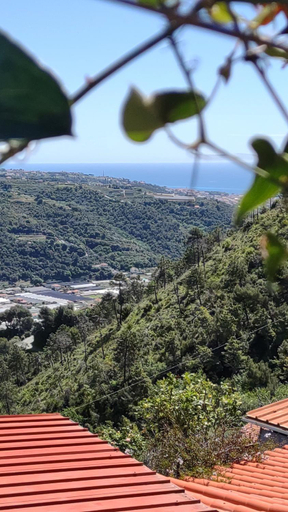 Others 2, Bungalow Sixdays 3, Imperia
