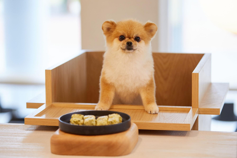 Food & Drinks 5, Sono Pet Clubs Resorts Vivaldi Park, Chuncheon