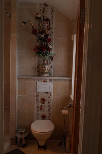 Bathroom 3, Marie S Bed And Breakfast, Dublin