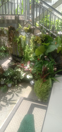 Others 3, JERO HOUSE, Gianyar