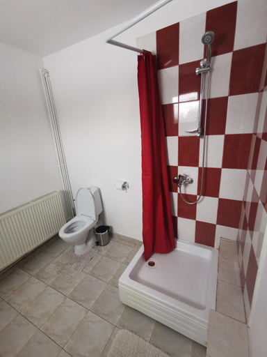 Bathroom 2, Casa de oaspeti Wallendorf Bistrita Unirea, Bistrita