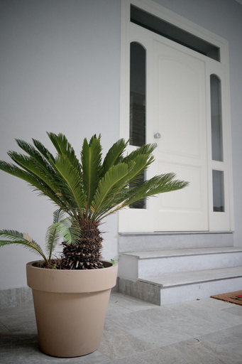 Exterior & Views 2, Villa di Nera B&B, Palermo