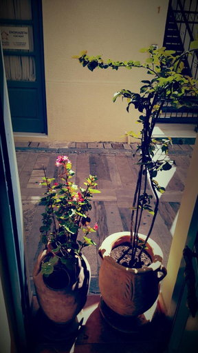 Public Area 2, Polyxenia Hotel, Peloponnese