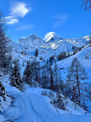 Others 4, BERGLIEBE, Zell am See