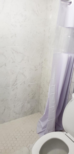 Bathroom 2, Palms By The Beach, Horry