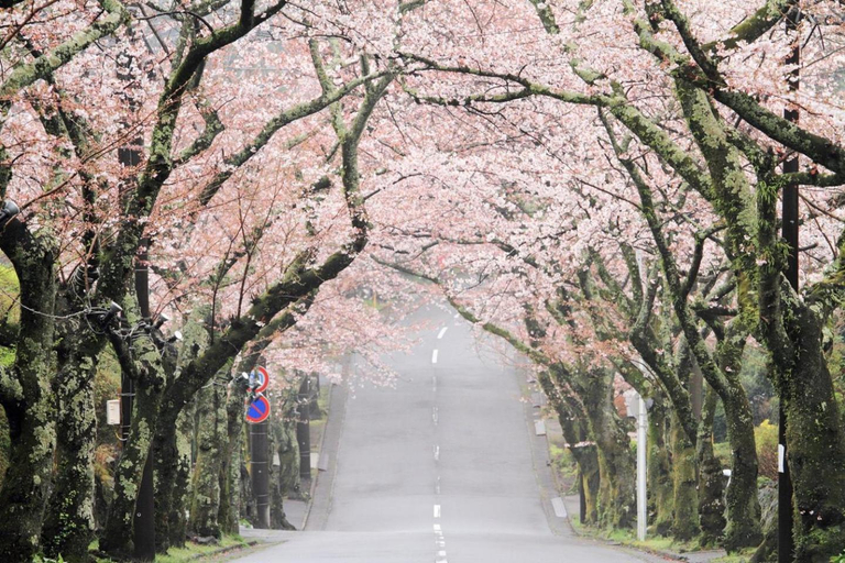 S-villa IZU Le-Nessa Akazawa -天然温泉&サウナ-, Itō