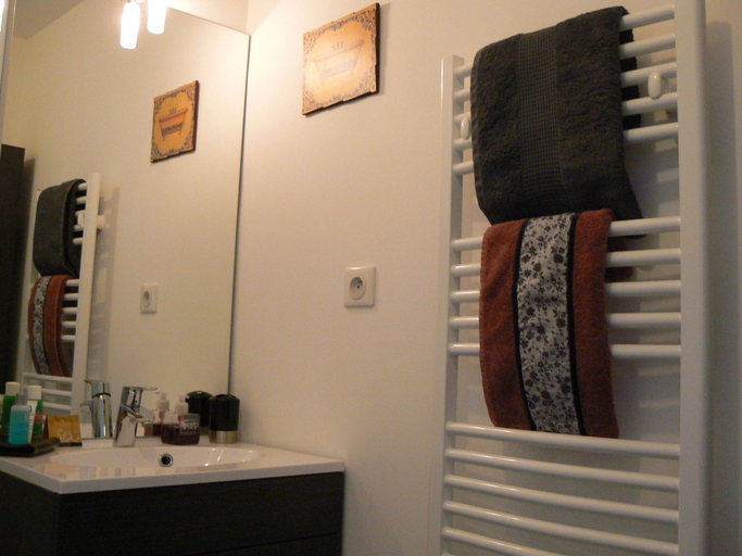 Bathroom 3, Appartement Relais Saint Pavin, Sarthe