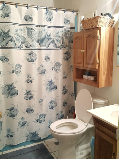 Bathroom 4, Quiet and Cosy Chalet in Pocono, Monroe