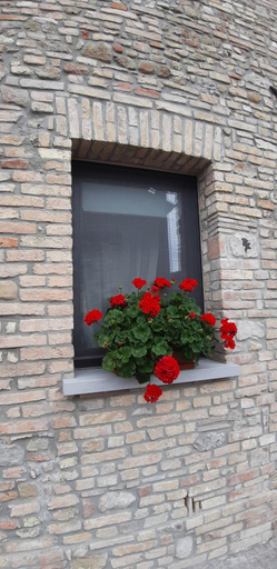 Casa Fabbro, Udine