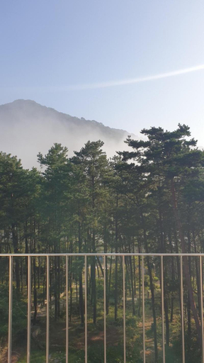 Others 2, Forestel Meomul, Suncheon