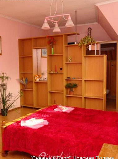 Others 4, WHITE HOUSE, Sochi gorsovet