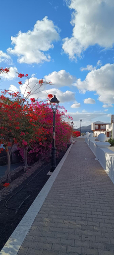 Others 5, Casa Luz, Las Palmas