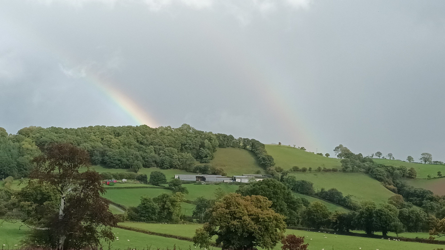 Others 5, Henllys Estate B&B, Carmarthenshire
